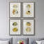 «Yellow & Gray Fish I», ensemble de 4 reproductions de cadres photo-1919576449-1919576460