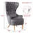 Flaxville Tufted Wingback Chair (Set of 2)-87198360