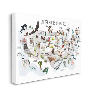 " United States Of America Map Of Animals Kid's Illustration "