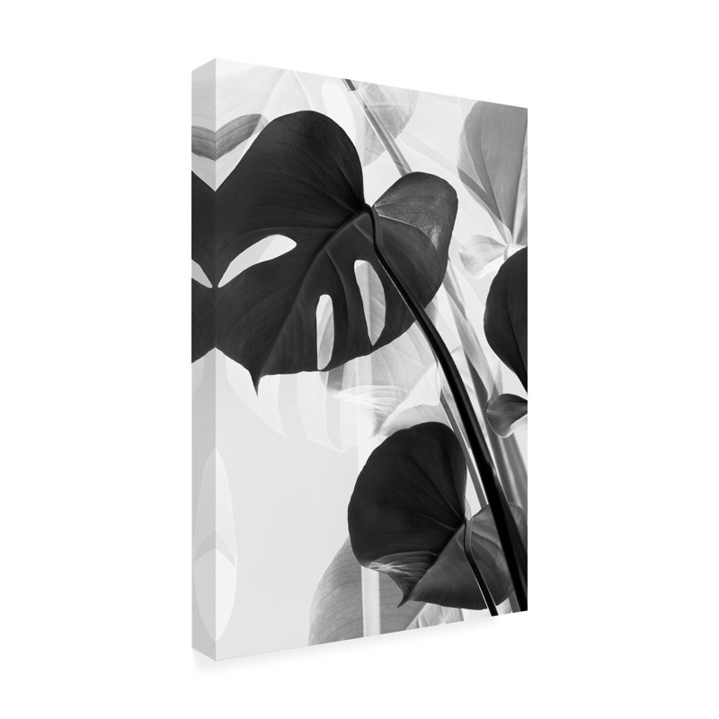 Art sur toile Picstup Studio III Monstera, H 19 po x l 12 po