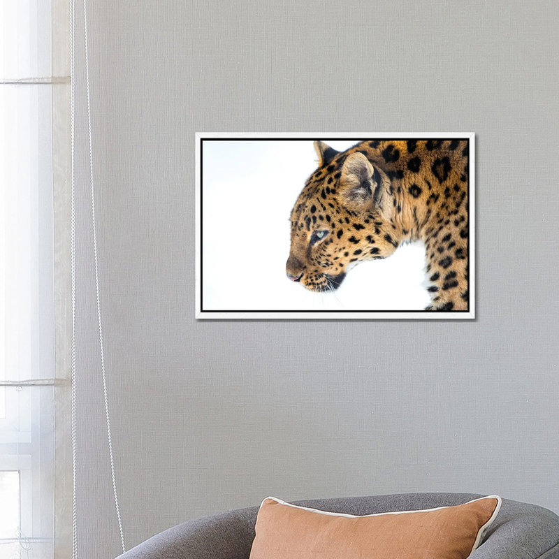 Big Cat by David Gardiner - Print on Canvas, 66.04 cm H x 45.72 cm W, White Framed