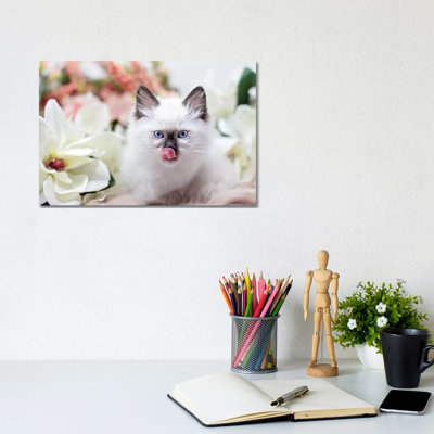 Ragdoll Kitten Sweet 1 Piece Wrapped Canvas Wall Art