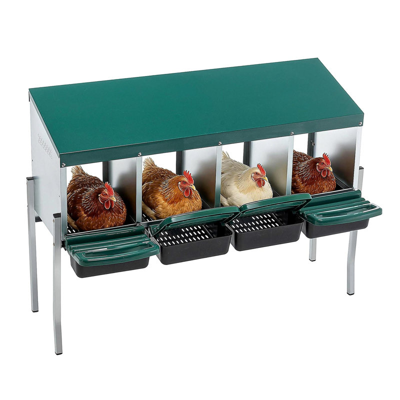 4-Hole Chicken Nest, With Legs And Cover to Protect Eggs,Green