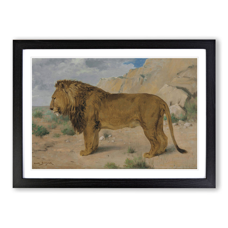 Study of a Lion by Rosa Bonheur - Framed Print, Black Framed, 36cm H x 48cm W x 2cm D