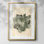 Chlorophylle II-800198873-800198879