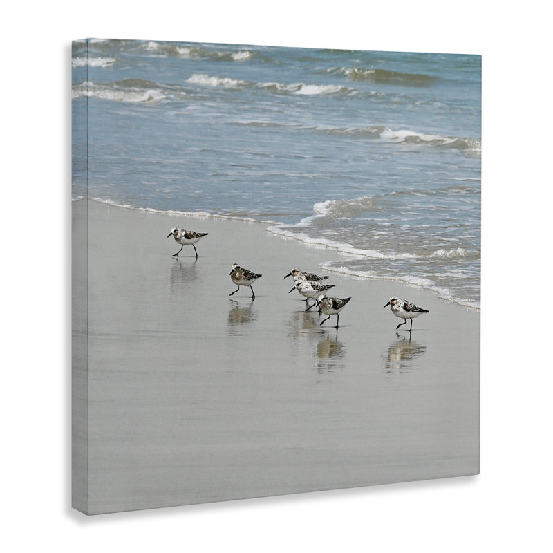 «Au-403», toile «Sandpipers on Shore Reflection on Canvas» par Natalie Carpentieri, peinture, H 17 po x l 17 po x P 1,5 po