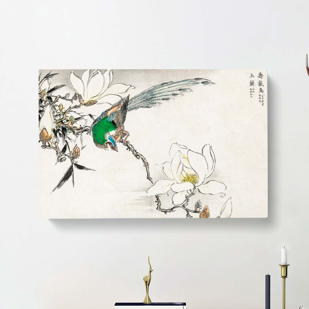 Pipit Bird & White Magnolias by Numata Kashu - Wrapped Canvas