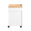Sharun 63cm Wide File Cabinet