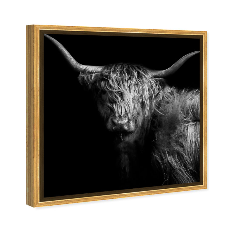 Realistic Black And White Highland Cow Photography Print by Oliver Gal, 20" H x 20" W, Gold Floater Framed