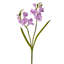 Vaporisateur 23 "Real Touch Freesia 23"-356467676