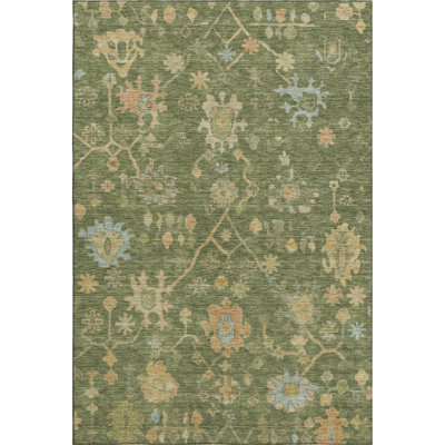 Premium Machine Washable Alaina AMF1930 Global Rug