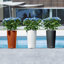 Lechuza Cilindro Color Self-watering Planter with Drainage Hole and Water Level Indicator-26992038-26992037