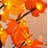 24" Fall Lighted Maple Tree Thanksgiving Halloween Decoration Tabletop Fall Tree