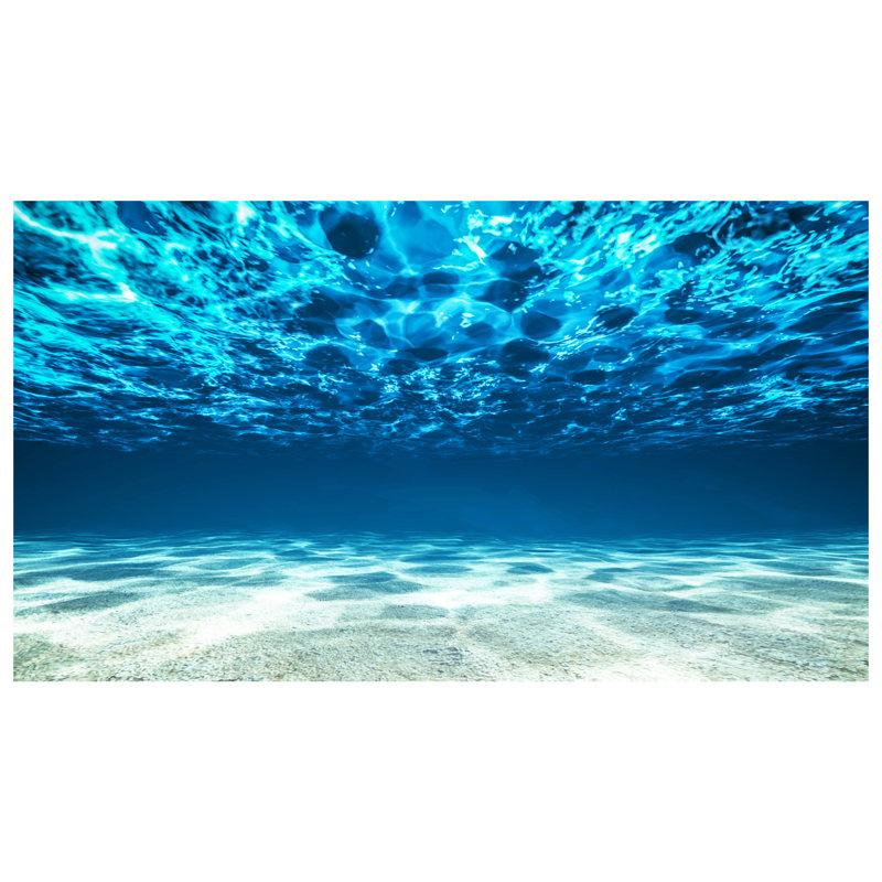 Murale de plage sous-marine Doory, l 144 po x L 108 po