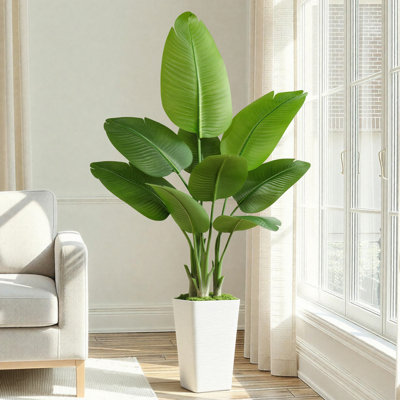 5FT Artificial Bird of Paradise in White Square Pot, Faux Ravenala Floor Plant for Home Decor