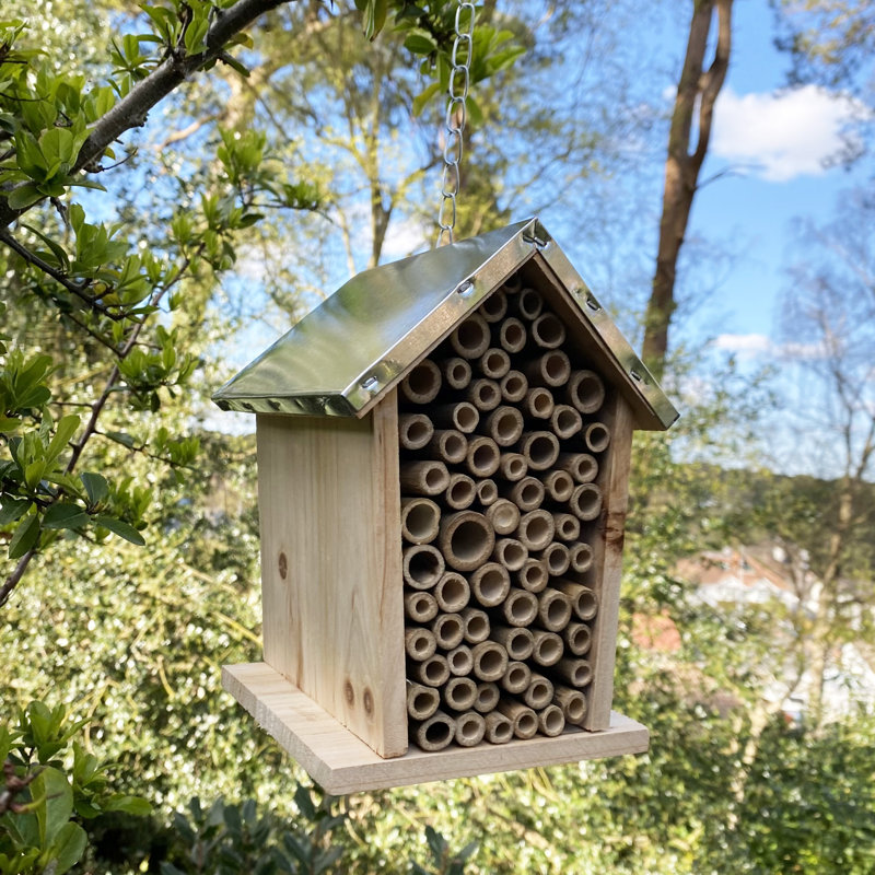Izaguirre Hanging Bumblebee House