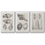 Charbon et coquilles de lin IV 3 pièces-97757591-97757592