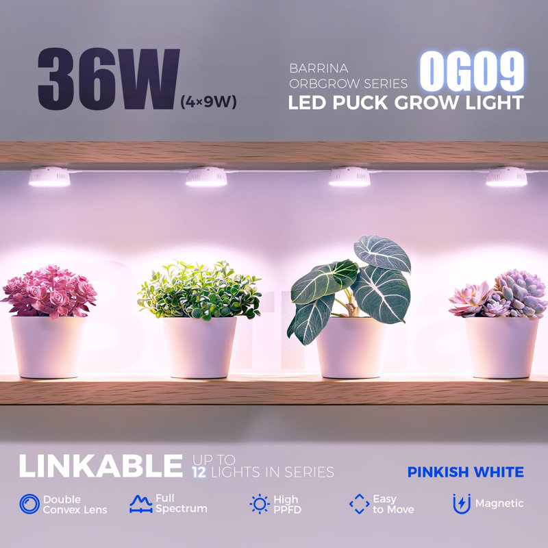 Barrina Orbgrow Og09 Puck Grow Light avec minuterie, blanc rosé, magnétique et connectable, 5 niveaux à intensité variable pour tablette à plantes, 4 paquets