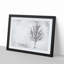 Lone Tree at Winter - Picture Frame Painting Print-55580653-55580658