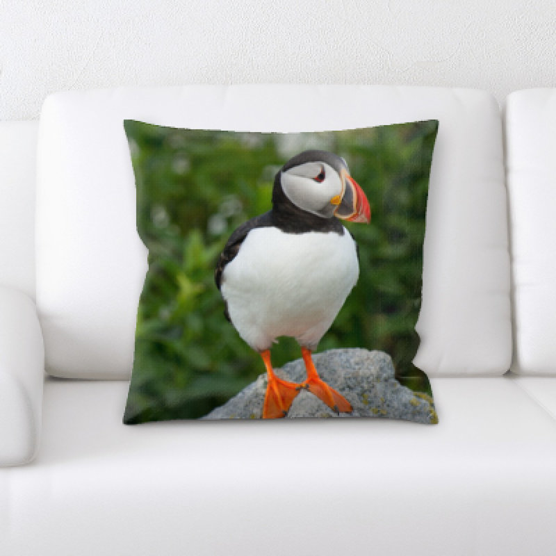 Coussin oiseau