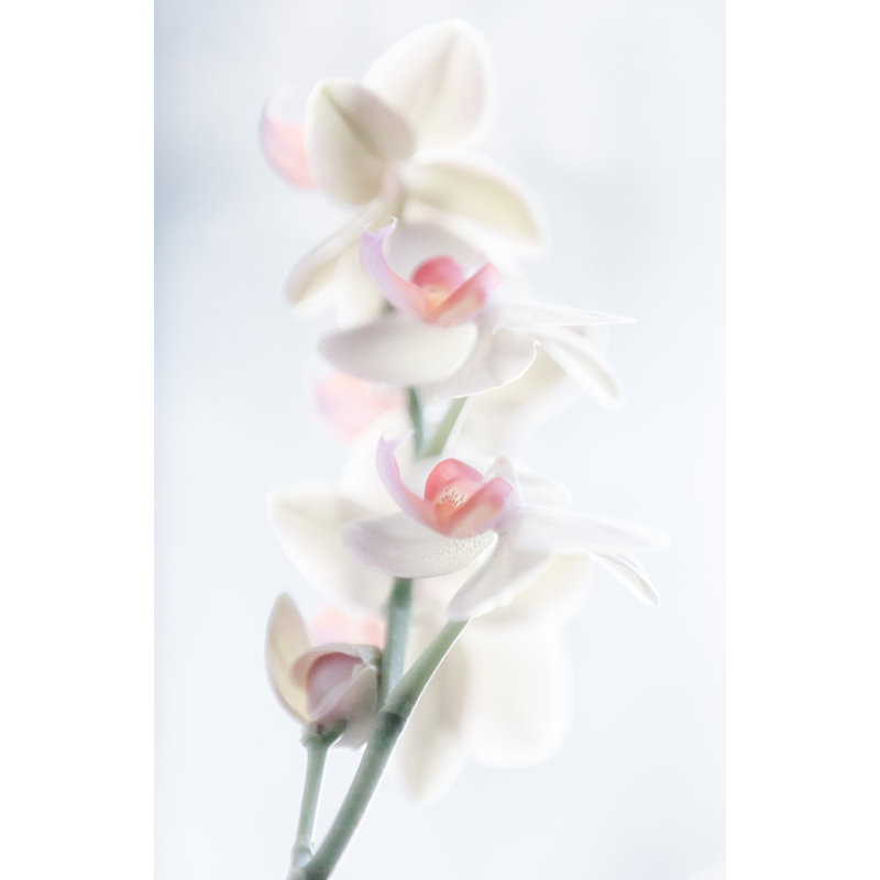 Wrapped Canvas Print, 91.44 cm H x 60.96 cm W