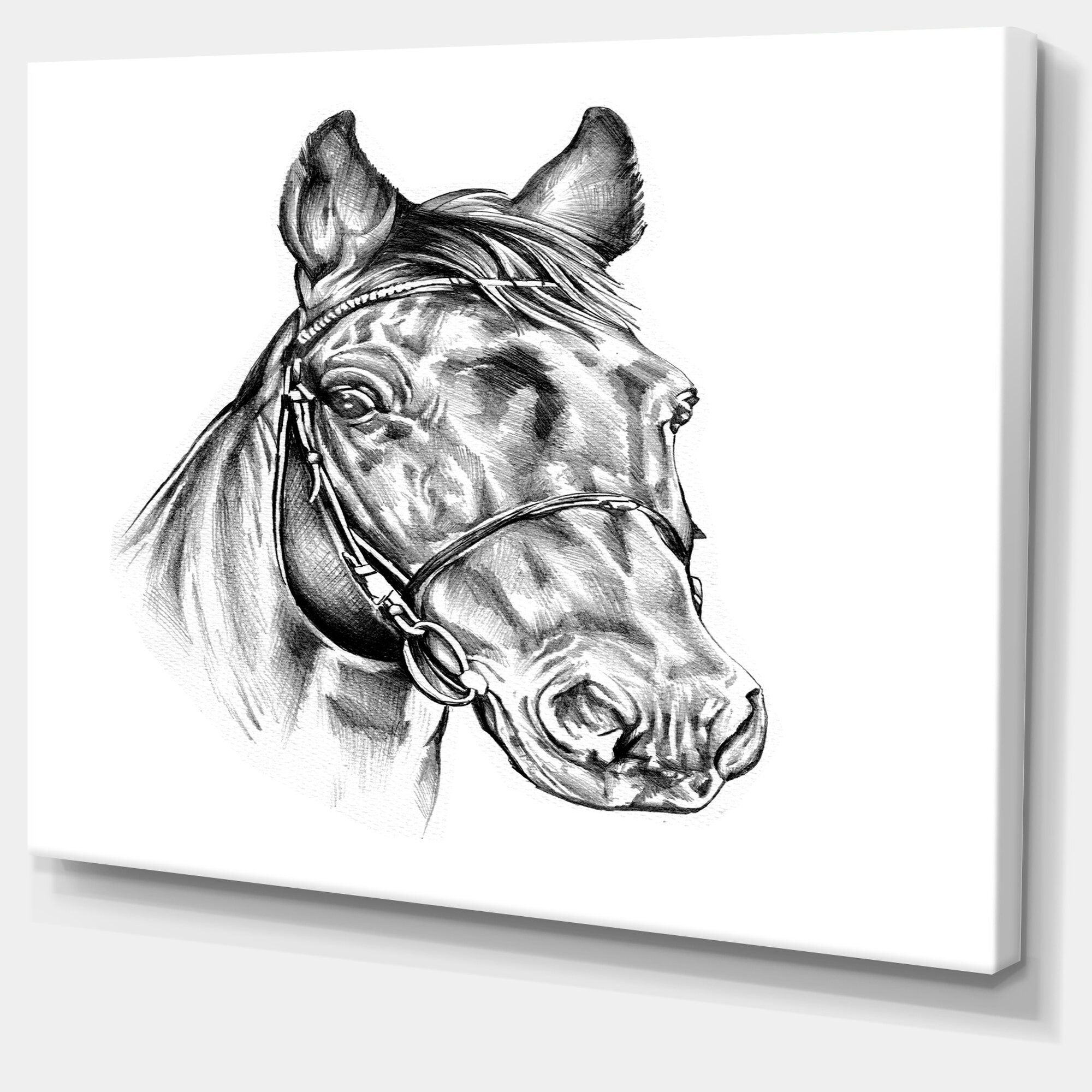 Horse head profile sketch. Pencil drawing isolated on white background.  Animal portrait graphics. Hand drawn Image of stallion. Stock Illustration  | Adobe Stock