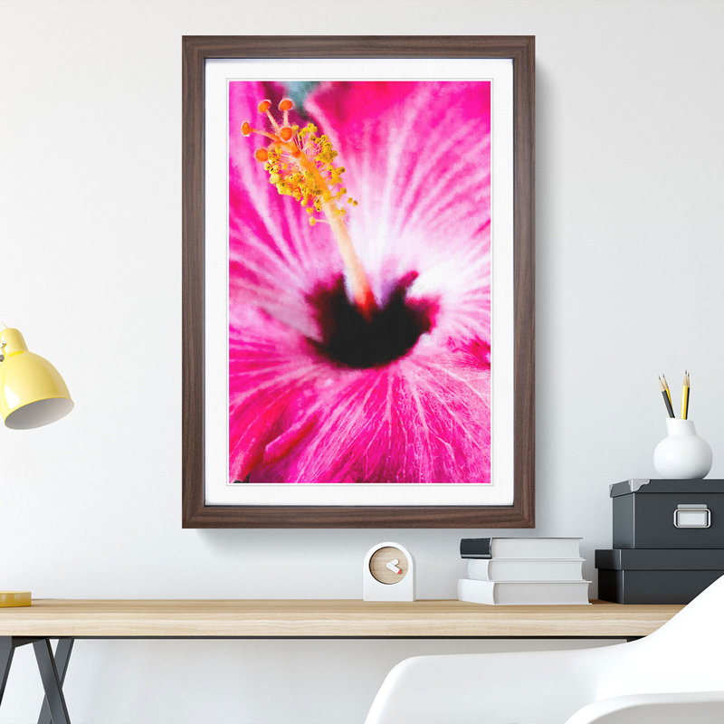 A Pink Flower - Picture Frame Graphic Art, 65cm H x 48cm W x 2cm D, Walnut Framed