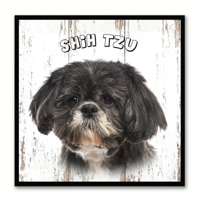 " Shih Tzu Dog "