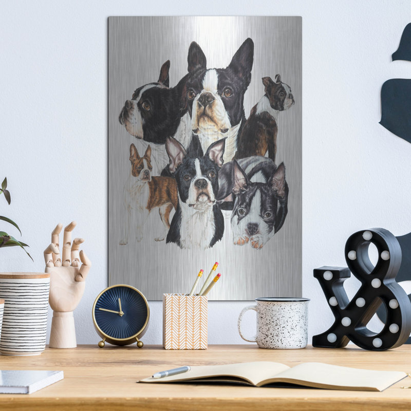 «Boston Terrier» par Barbara Keith, H 16 po x l 12 po