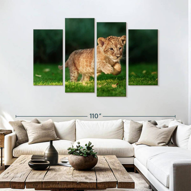 Chat sauvage Brampt
