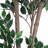 Artificial Ficus Tree with Pot