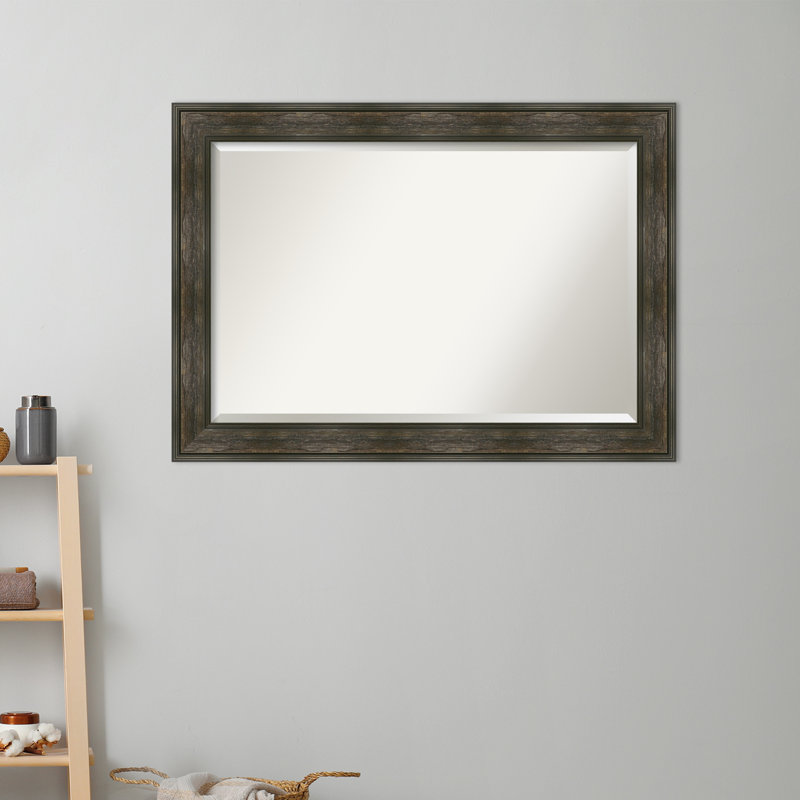 Miroir de porte non-biseauté Gambell, 52,12 po x 18,12 po
