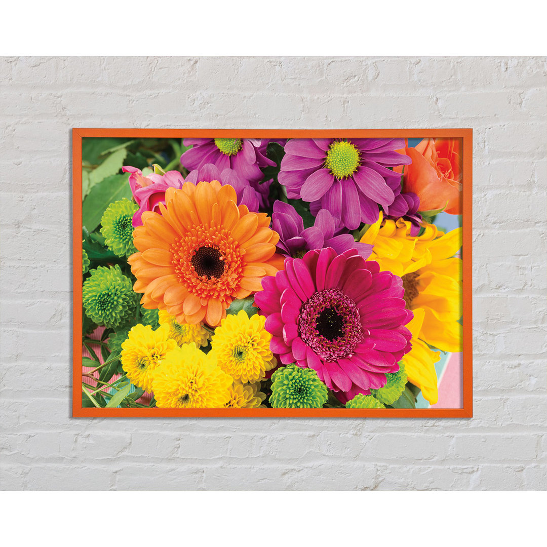 Gerbera Flower Mix - Einzelne Bilderrahmen Kunstdrucke