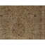 Wool Oriental Area Rug in Gray