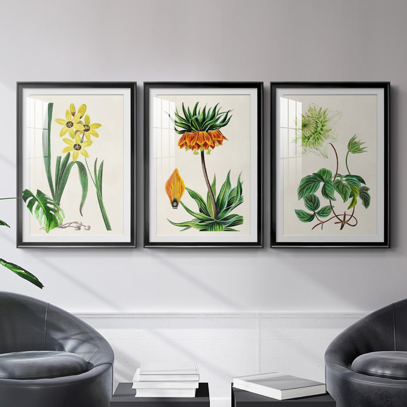 Reproduction encadrée antique de qualité florale antique - prête à être accrochée, H 24,5 po x l 37 po x P 2,5 po, Cadre noir