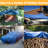 Tent-73560084