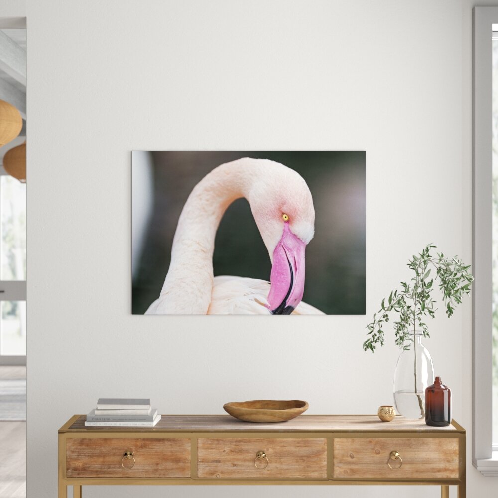 Leinwandbild Flamingo beim Putzen