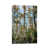 Wrapped Canvas