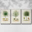 Ensemble de 3 pièces encadrées sur toile Antique-97759520-97759521