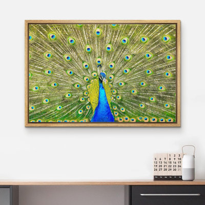 Animaux, paon néon vibrant