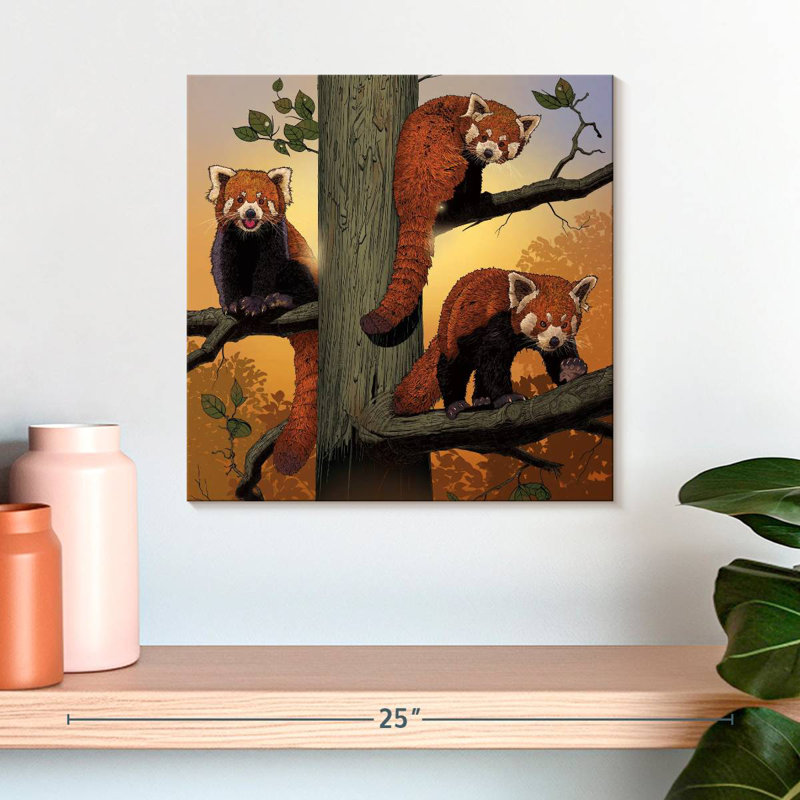 Red Pandas