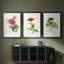 PrettyPinkBotanicalsI - Impression sur mesure encadrée de qualité supérieure - 3 pièces-19873960