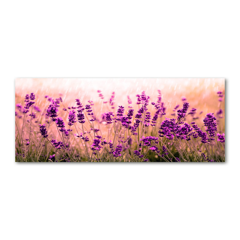 Lavender - No Frame Print on Canvas