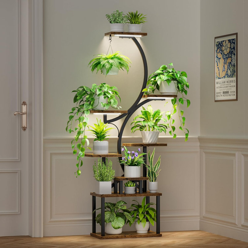Support pour plante Irvina, Noir, noir, noir, noir