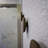 Matta Solid Wood Wall Wall Hook