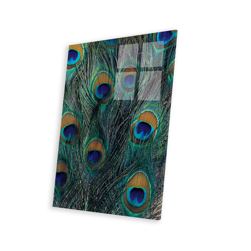 «Brookview Peacock Feathers In Zoom On Plastique / Acrylique» par Darrell Gulin