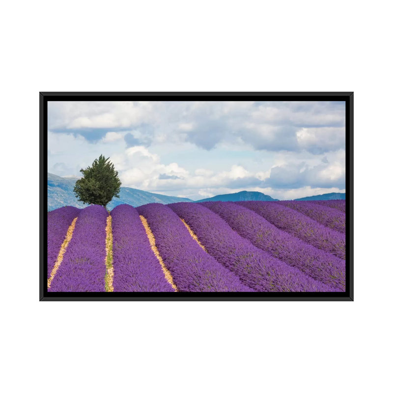 «Ready for Harvest, Provence, France», reproduction de photo sur toile, H 18 po x l 26 po x P 1,5 po, Toile avec cadre noir
