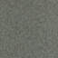 Shagreen Wallpaper-1638598224