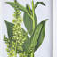 De 4 accessoires muraux de fleurs, 20 po x 28 po, décoration intérieure pour différents espaces, élégance classique, design naturel 4 botaniques, 20 x 28 po, dans diverses pièces, apparence élégante, thème de la nature