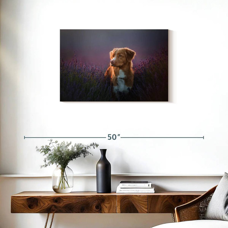Golden retriever dans un champ de lavande, H 20 po x l 30 po
